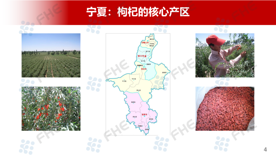 苏国辉—宁夏枸杞的科研与产业转化